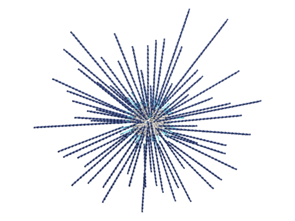 Sea Urchin Embroidery: A Coastal Holiday Surprise